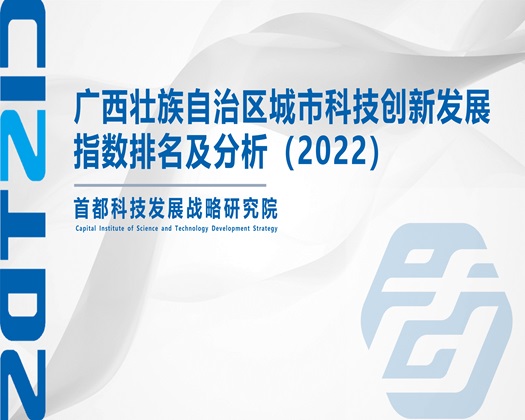 吧鸡插黄色视屏【成果发布】广西壮族自治区城市科技创新发展指数排名及分析（2022）